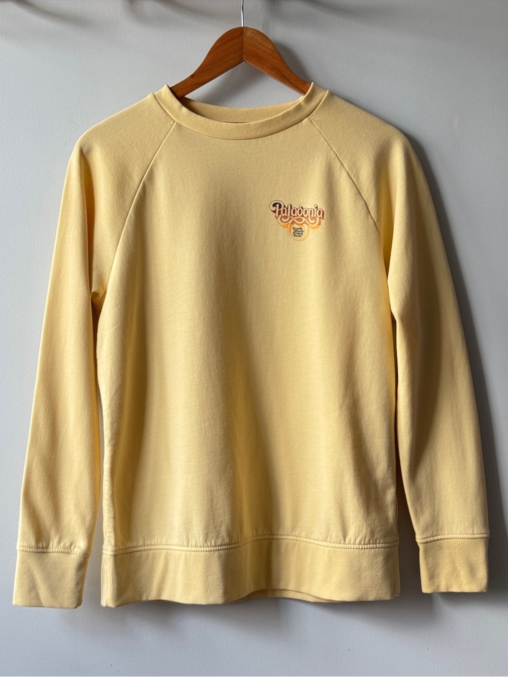 Patagonia Kids Lightweight Crew Sweatshirt
Size XL